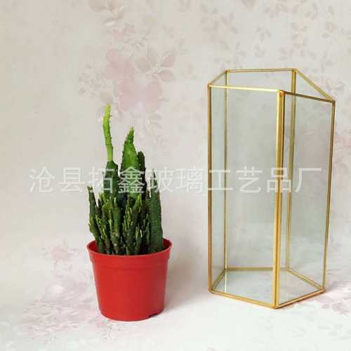 五面立柱几何形微景观透明玻璃花瓶多肉植物生态创意花盆花器