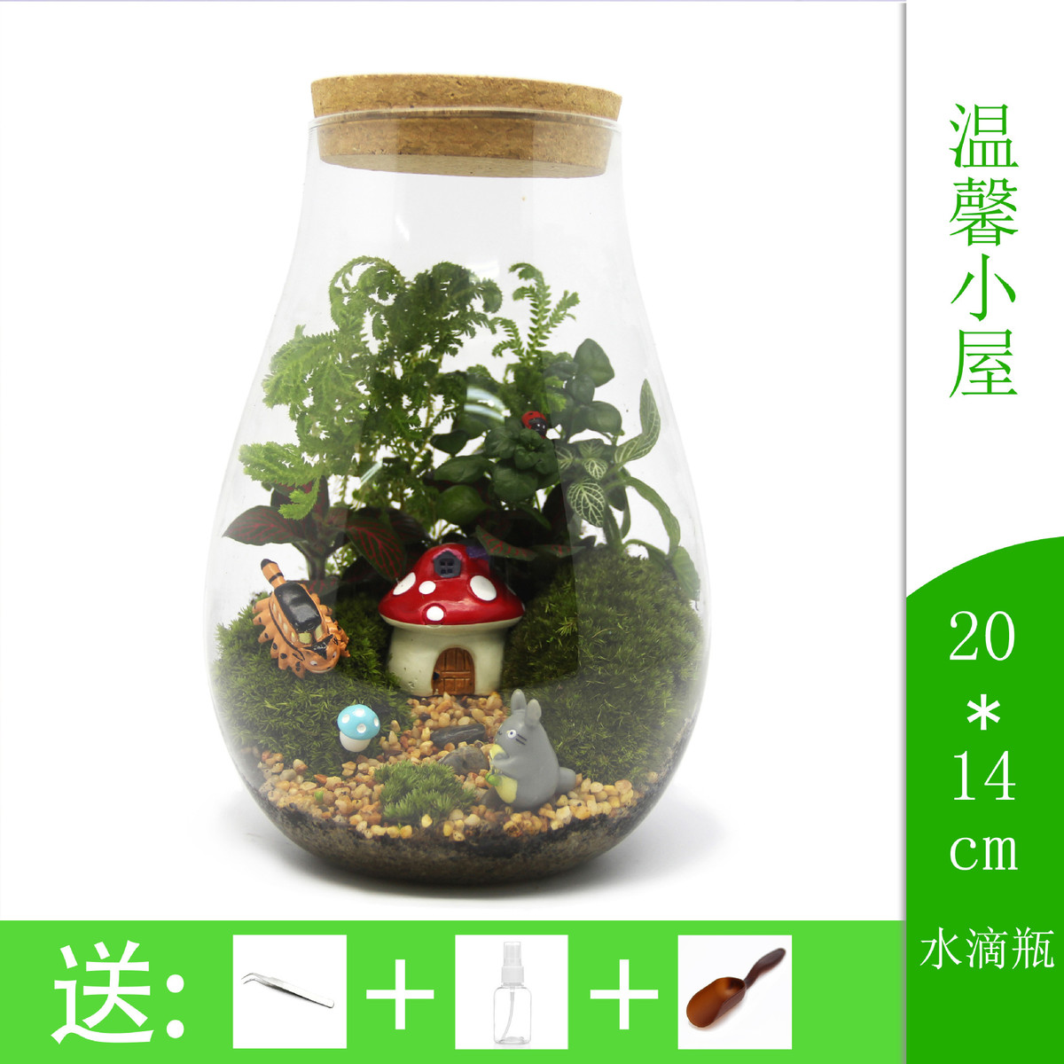 苔藓微景观创意礼品摆件绿植苔藓瓶植物水滴瓶生态瓶小世界