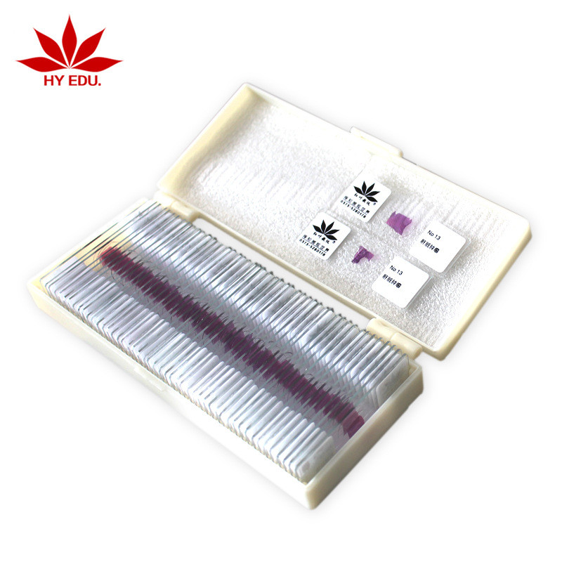 结构清晰片染片病理切片50片套装病理组织切片50种病理套装