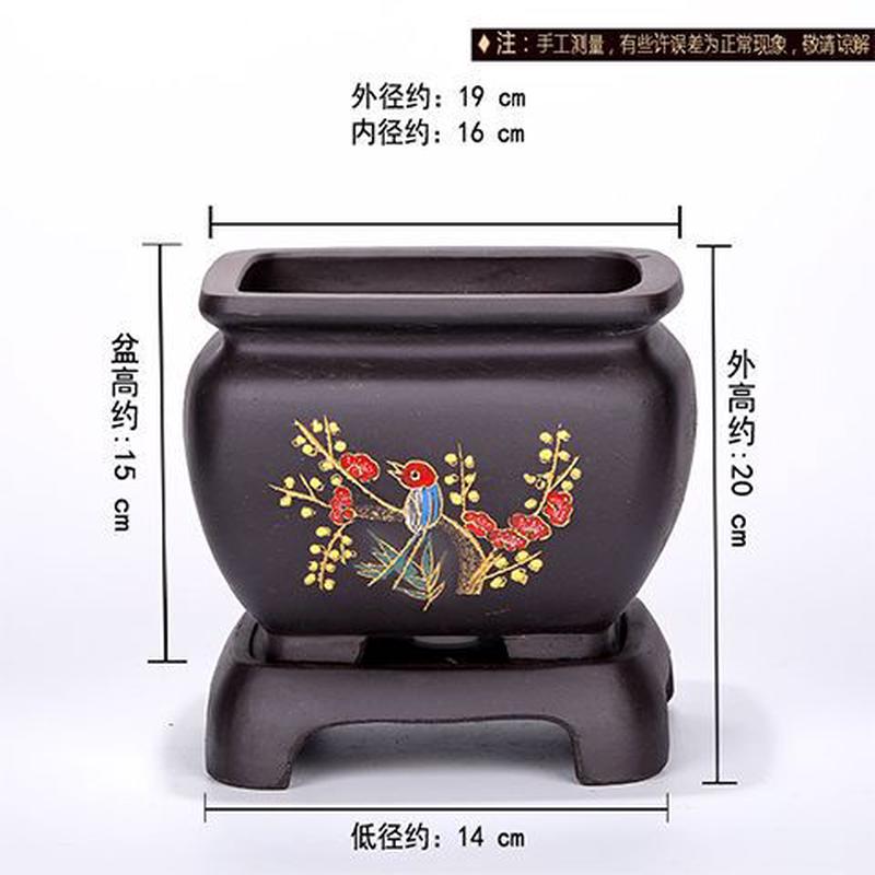 紫砂花盆兰花盆室内桌面植物文竹君子兰盆盆陶瓷花盆