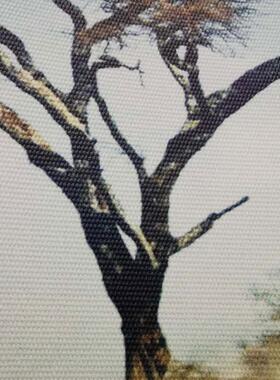 uv油画布壁布丝布绒布宽幅无拼接丝绸布蚕宣无纺布墙布背胶油画布