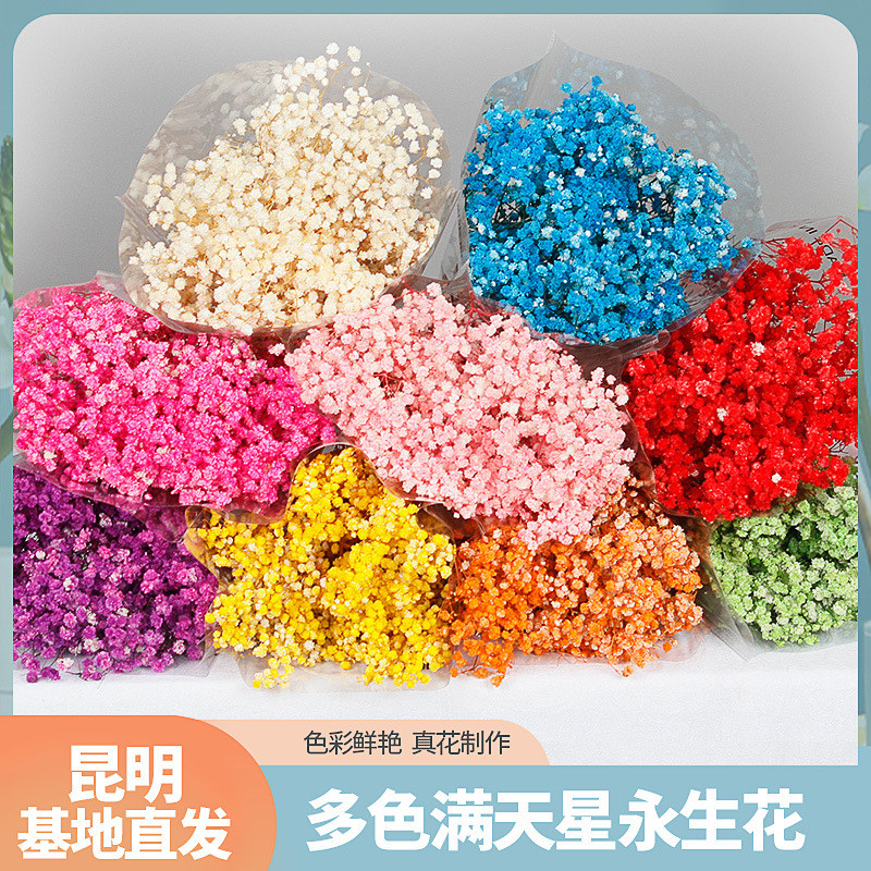 永生花满天星工厂直供干花120g满天星干花云南基地批发干花花束