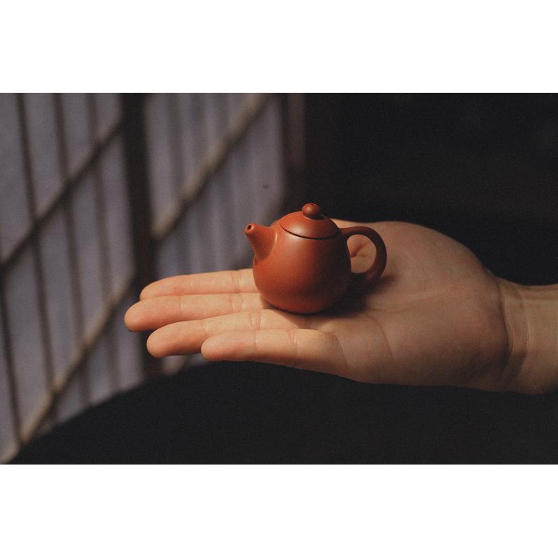 a5l手作迷你指尖紫砂小茶壶茶宠淋壶可养湿泡龙西施旦茶道