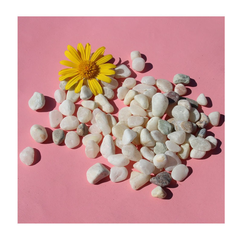 whitepebble盆栽盆景配衫白石子彩色雨花石