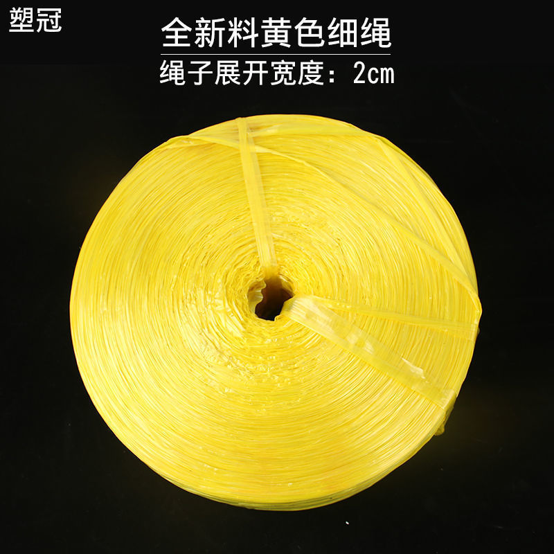 彩色全新料搬家打包绳撕裂膜扎口尼龙绳包邮大盘捆扎塑料粗细绳