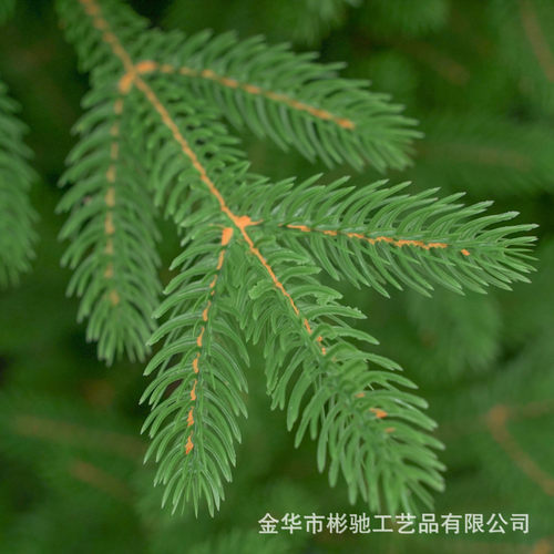 批发氛围装饰树大型松树装饰摆件圣诞树植物仿真绿植厂家圣诞节