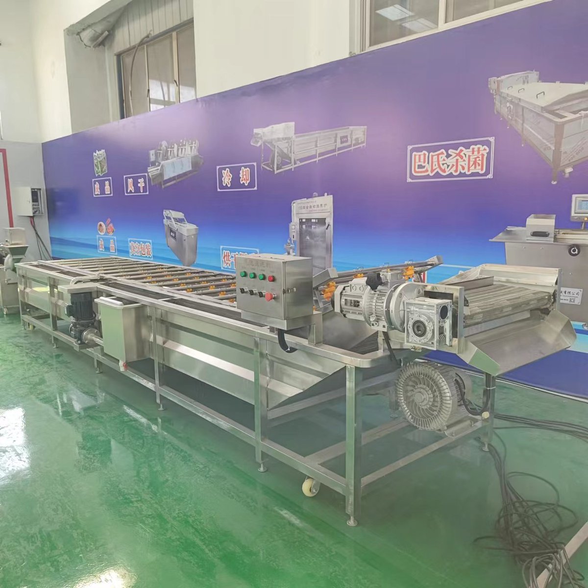 热销全自动蔬菜气泡清洗机辣椒白菜气泡清洗机水果清洗设备海鲜清