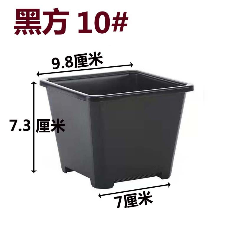 景天盆黑方白方多肉黑色基地花盆加厚电商育苗盆白色方盆批发