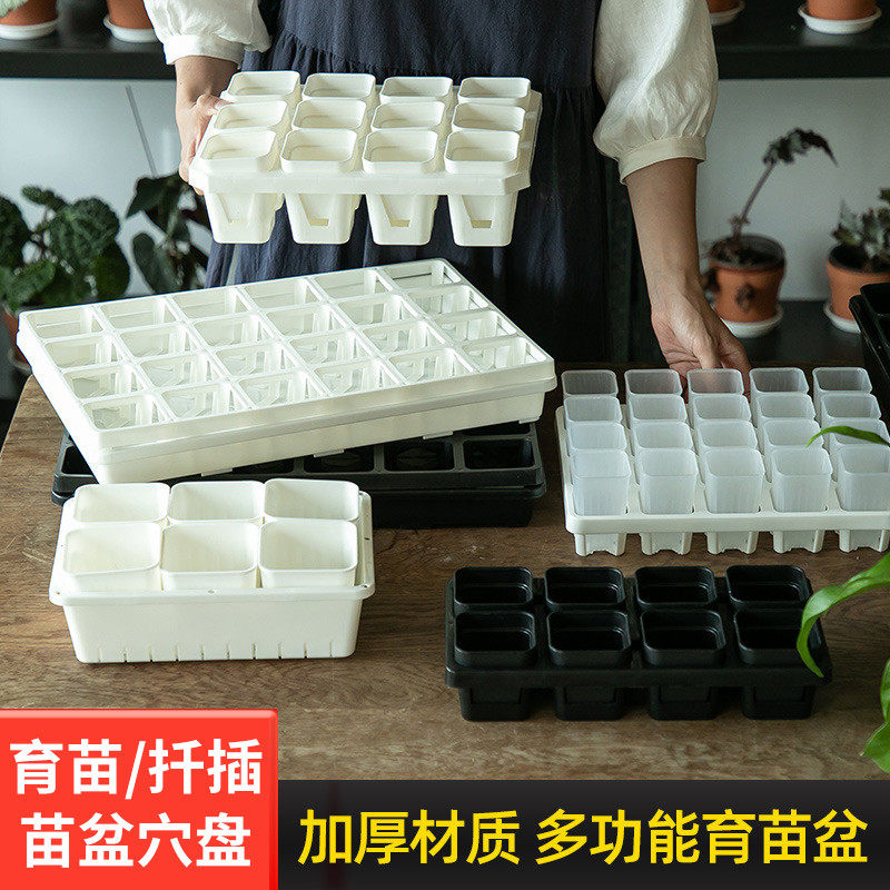 育苗盆塑料多肉叶插小黑方播种扦插托盘蔬菜西瓜辣椒苗盆穴盘加厚