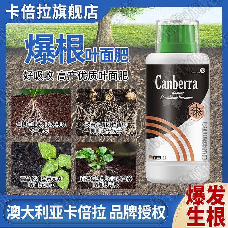 堪培拉生根剂强力生根爆根果树蔬菜花卉通用型快速发根壮苗液体肥