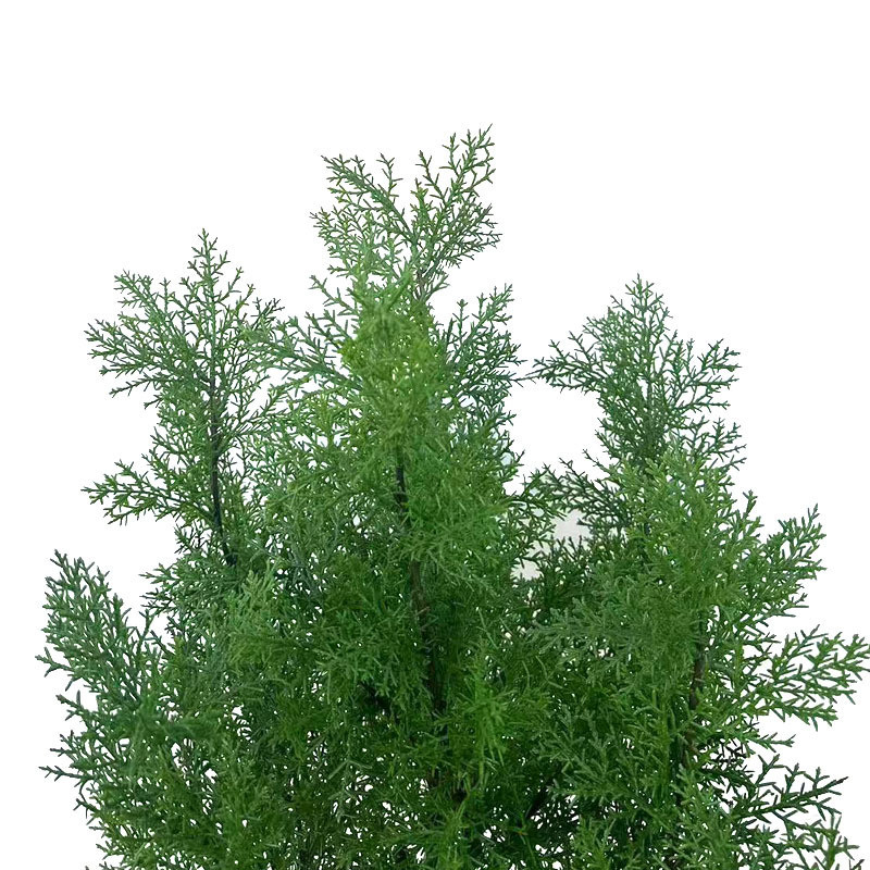 仿真植物盆栽圆柏树绿植圣诞叶盆栽柏树罗汉松盆栽造景室内装饰