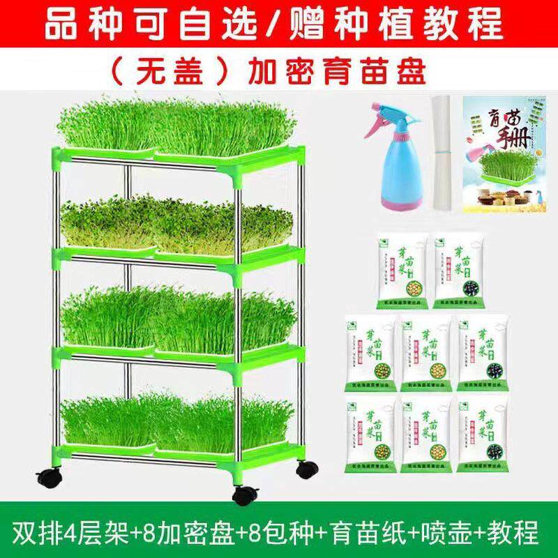芽苗菜育苗托盘豆苗发芽盆豆芽种植无土栽培设备水培蔬菜芽菜盆