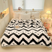 宿舍加厚保暖拉舍尔毛毯可水洗双层家用礼品毛毯批发零售