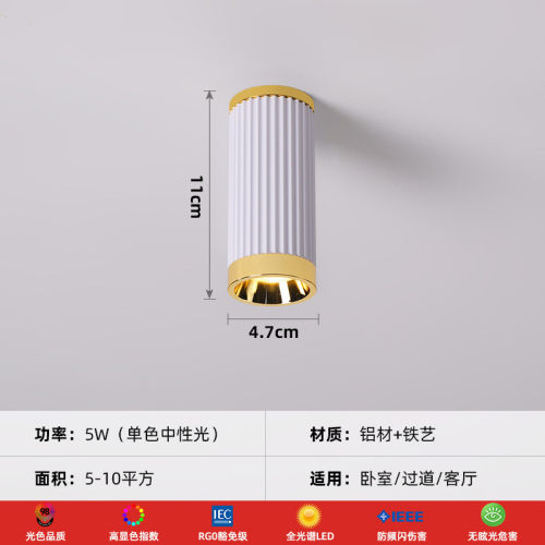 现代轻奢圆形铝材个性明装筒灯大气入户玄关衣帽间新款广东中山灯