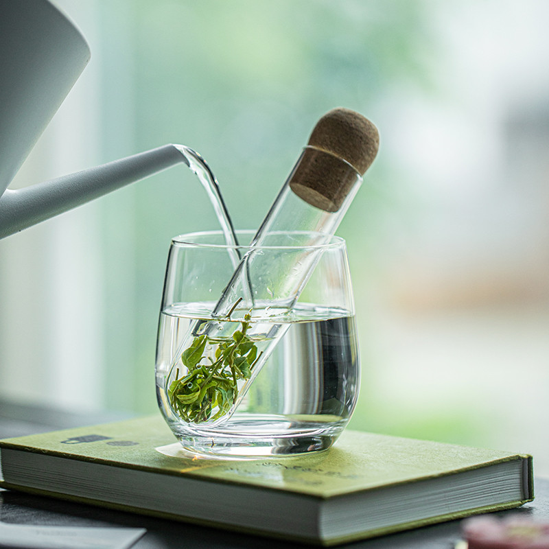 耐热玻璃试管茶漏茶滤新型泡茶神器茶水分离器茶叶过滤器茶具配件