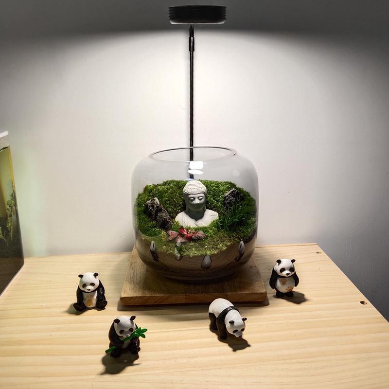花开见佛桌面好养微景观生态瓶雨林缸盆景禅意盆栽苔藓植物成品发