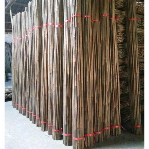 供应大量苦竹竹竿包装加工竹竿出口