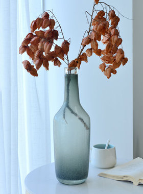 桌面透明发泡ins玻璃工艺品卧室水培玻璃花瓶新款北欧风插花花器