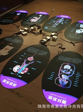 现货供应科技馆展馆学较展示牌，人体8大系统流程图，EL冷光片