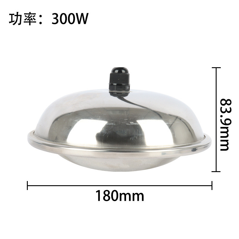 除冰池塘热销器防干烧恒温控制户外园林冬季鸟浴加热器300w融冰器