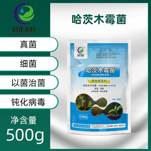 苗生物质哈茨郎中木霉菌根部型土传病害生根微生物菌剂农用