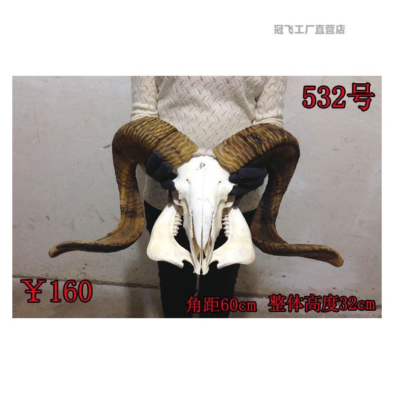 羊头头骨摆件饰品羊头藏区牦牛装饰品头头壁挂真工艺品工艺牛羊天