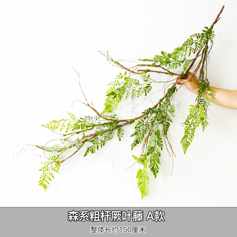 仿真加粗蕨叶藤条串藤蔓森系手工装饰蕨类壁挂植物角布景悬挂吊饰