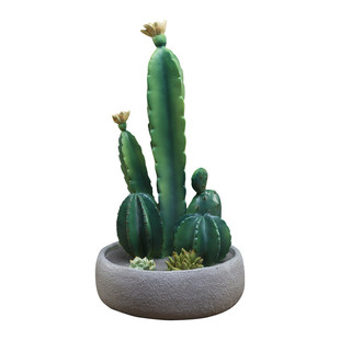 仿真仙人掌摆件北欧风格房间装饰搭配鞋柜假绿植静物拍摄酒柜道具