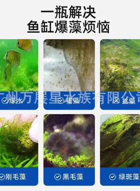 百清除剂美n1除藻剂鱼缸去苔剂青苔因草缸鱼池褐藻绿藻黑毛藻