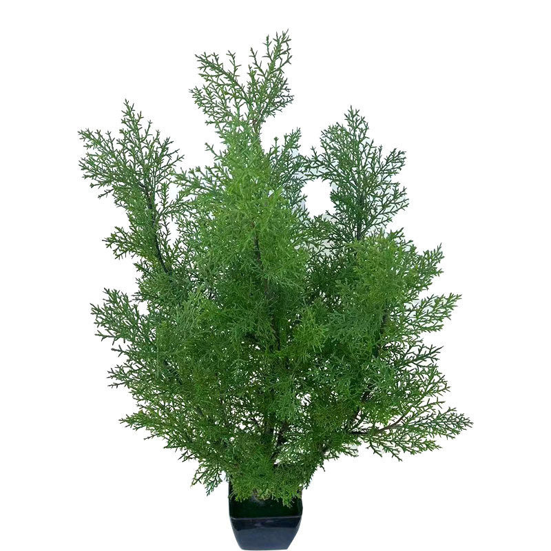 仿真植物盆栽圆柏树绿植圣诞叶盆栽柏树盆栽罗汉松室内装饰造景