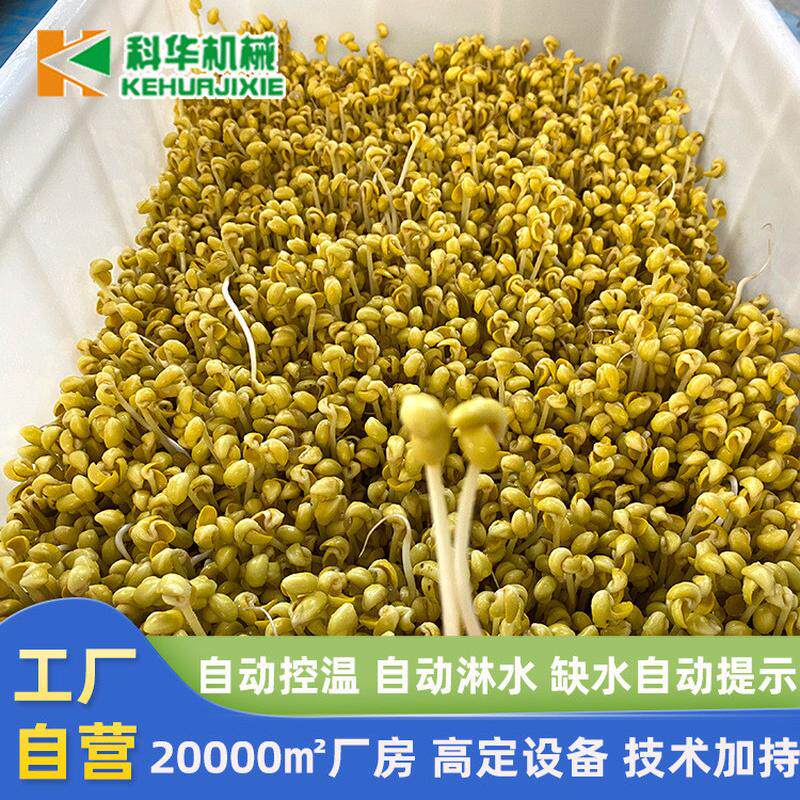 山东豆芽机商用大型全自动300多功能生豆芽机器机器芽花生