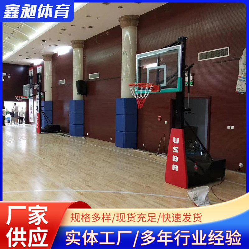 升降篮球架幼儿园中小学移动式家用标准户外厂家篮架儿童支篮球架