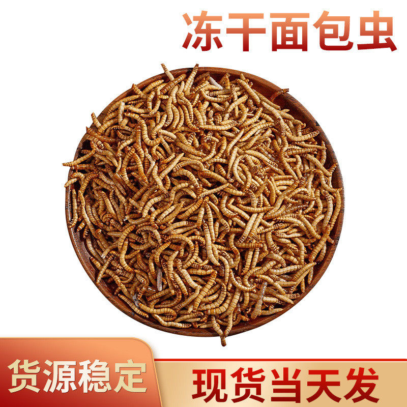 鱼食面包虫干龟粮仓鼠饲料黄粉虫干批发鱼饲料1斤装宠物饲料,宠物/宠物食品及用品,观赏鱼饲料,淘宝优惠券,粉丝福利购,淘宝优惠卷