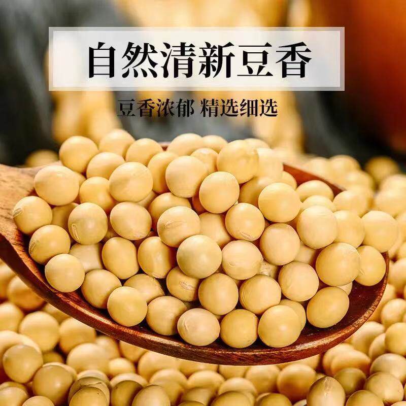 东北黑龙江黄豆农家自产大黄豆五谷杂粮豆类豆浆生豆芽黄豆