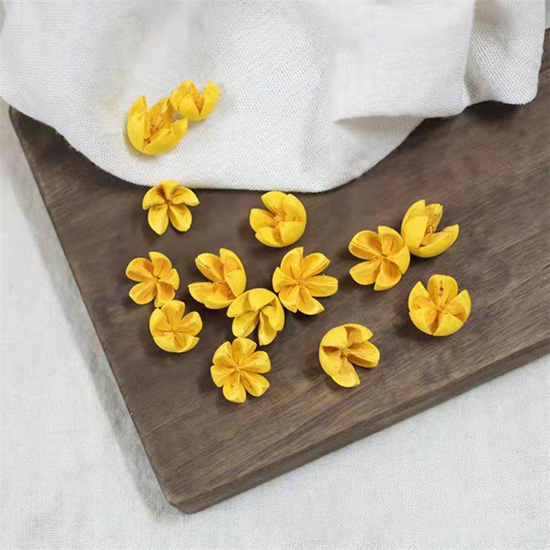 十字果批发干花材料开口笑 手工diy干花工艺品原材料彩色开心果