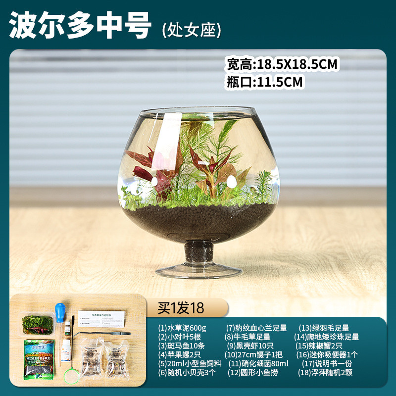 高脚杯生态瓶鱼免换水打理微景观科diy学用作业办公桌面造景鱼缸