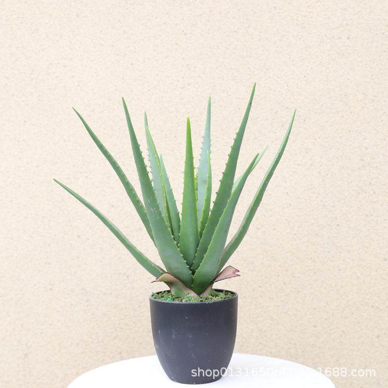 仿真绿植盆栽摆件芦荟造景仿真室内盆栽外布景假芦荟批发,家居饰品,仿真花/假花,淘宝优惠券,粉丝福利购,淘宝优惠卷