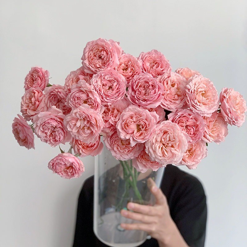 12-稀有品种多头玫瑰-朱丽叶塔奥斯汀花型（拒收售后不）插花