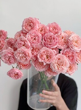 12-多头品种稀有玫瑰-朱丽叶塔奥斯汀花型（拒收不售后）插花