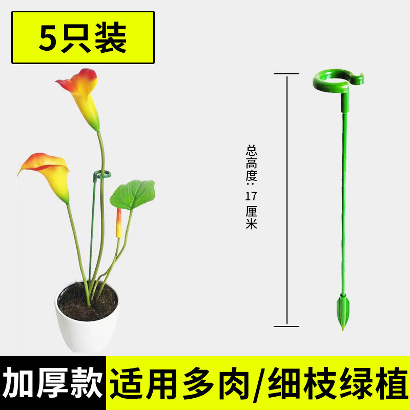 椰丝棒绿箩固定架架支撑杆柱植物爬藤花椰棕绿萝棕榈攀爬柱龟背竹