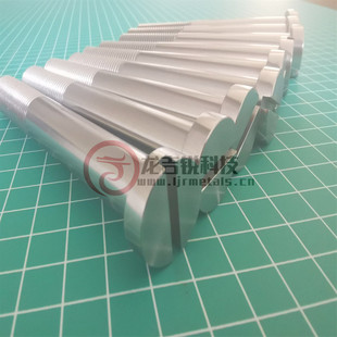 热销生产销售钼螺丝高温钼螺栓外六角螺丝钼m4m5m6m8非标可加工