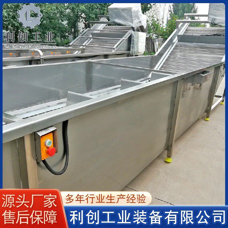 全自动果蔬清洗机大枣豆芽喷淋式清洗机大型蔬菜气泡式清洗设备