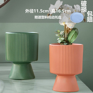 网红爆款蝴蝶兰花盆专用陶瓷兰花花盆白色简约多肉花盆