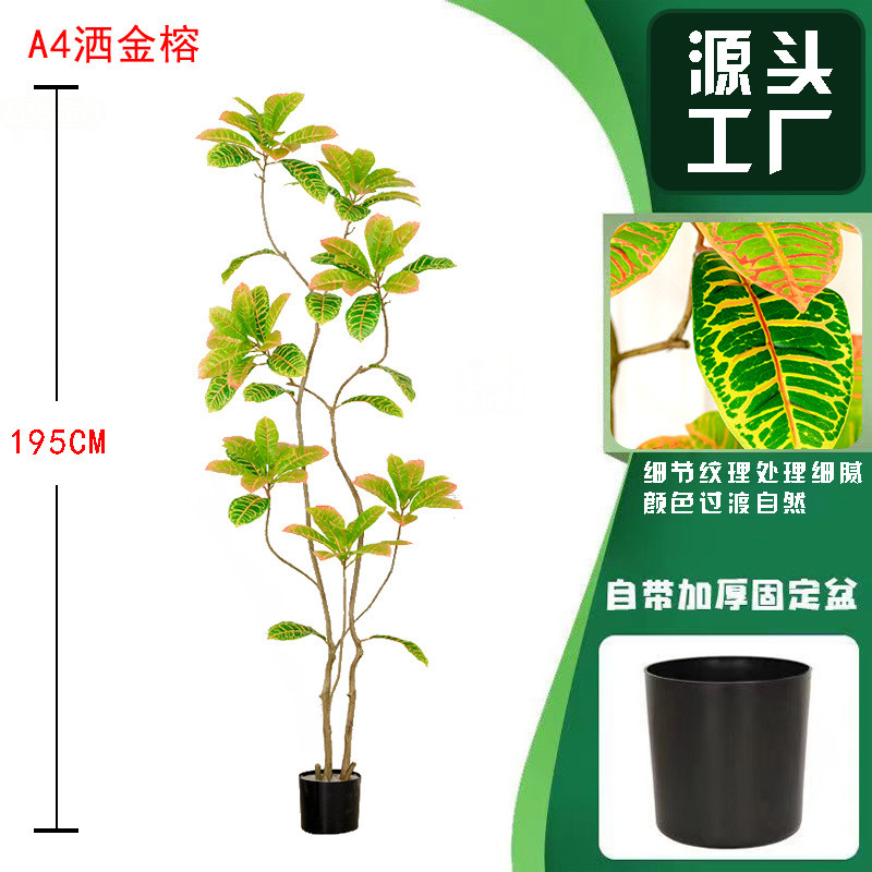仿真绿植洒金榕植物盆栽仿真变色木假树木景观变叶造景装饰
