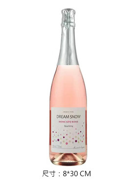 x1aw轻奢样板间仿真香槟酒酒柜装饰品摆件起泡厨房假红酒摄影道