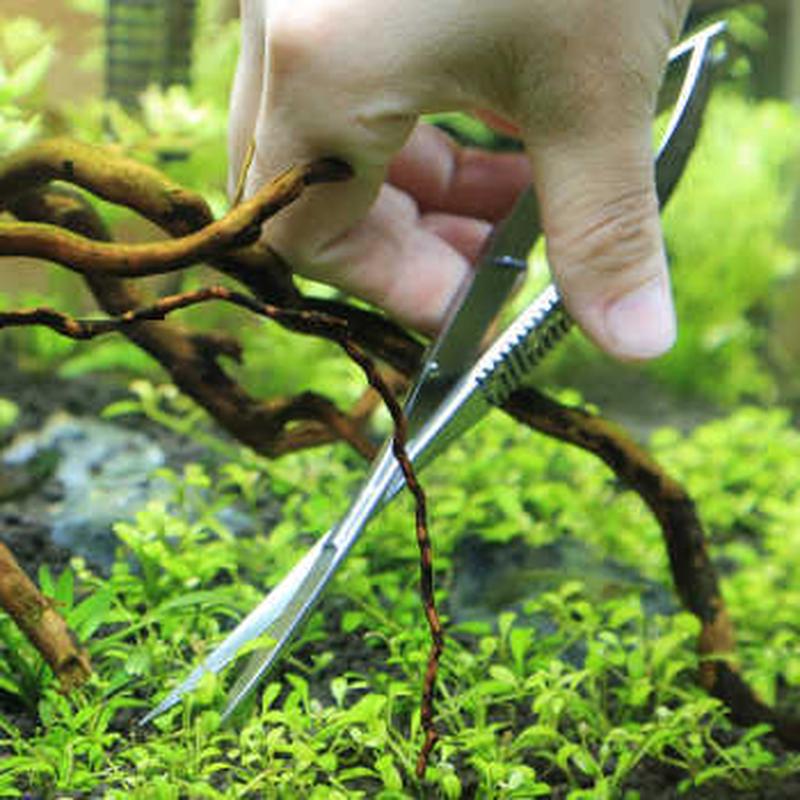 弹簧剪生锈水族水草造景弹簧剪水缸草缸修剪工具不易不锈钢批发