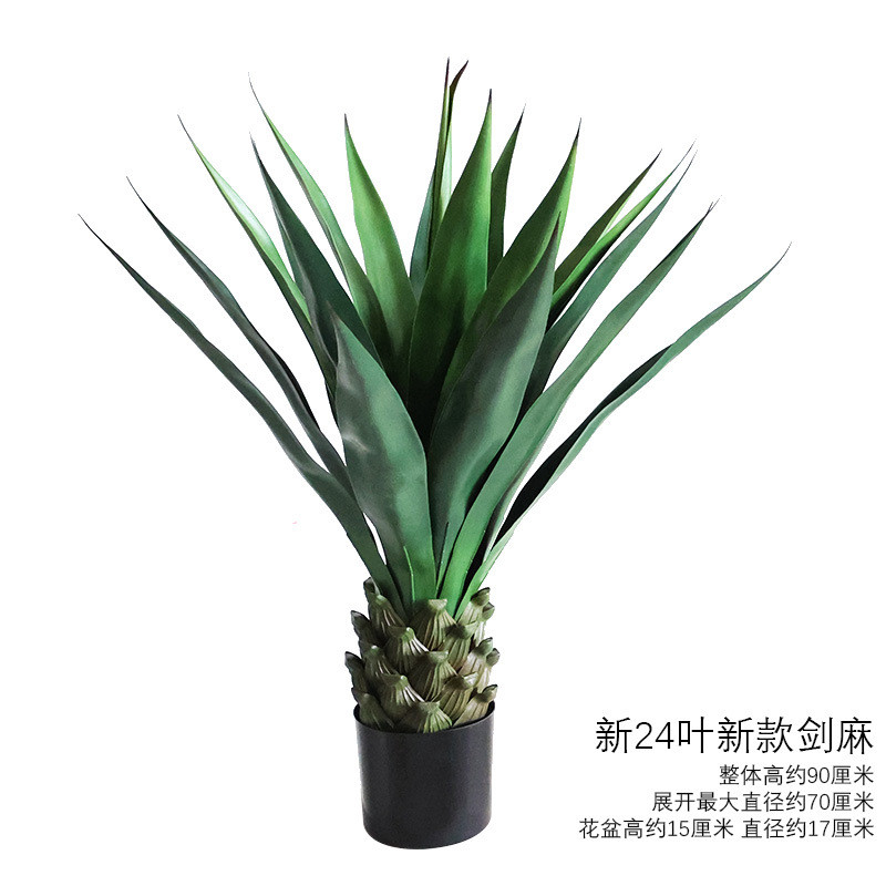 仿真绿植盆景剑麻大叶剑兰沙漠植物热带橱窗造景现货假植物装饰