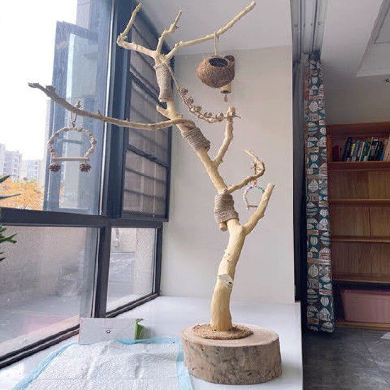 喜鹊站架中大型干树枝原木杈艺术干枝树干鸟壁造型吊顶龙骨装饰