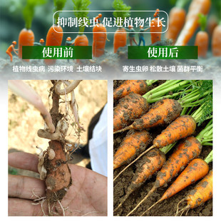 现货批发淡紫拟抗菌抗根线虫青霉根线虫抗重插抗根腐抗病害全水溶