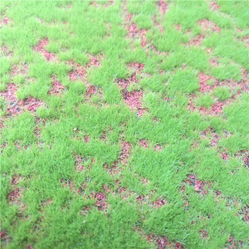 仿真绿植墙苔藓假苔藓苔藓景观室内草皮场景橱窗造景微景观假草坪